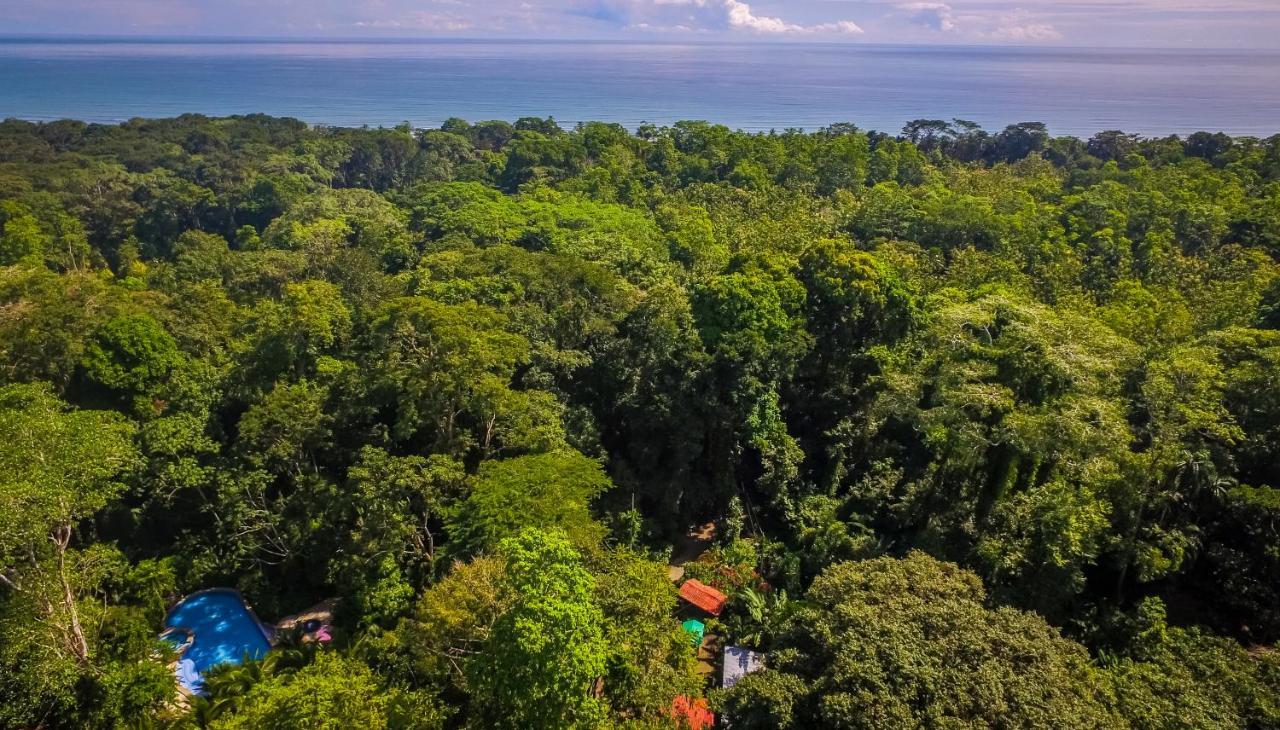 The Goddess Garden Eco-Resort كويتا المظهر الخارجي الصورة