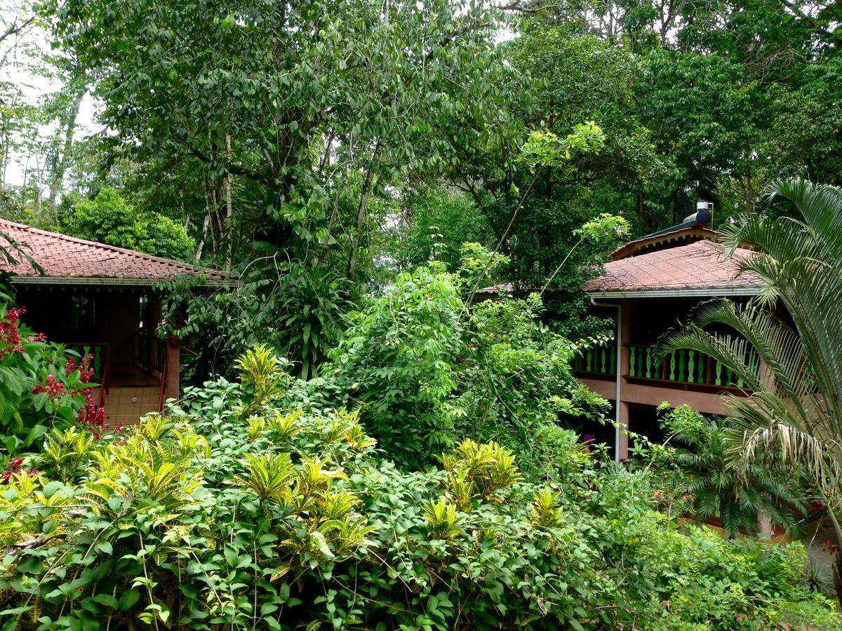 The Goddess Garden Eco-Resort كويتا المظهر الخارجي الصورة